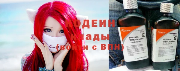индика Кукмор