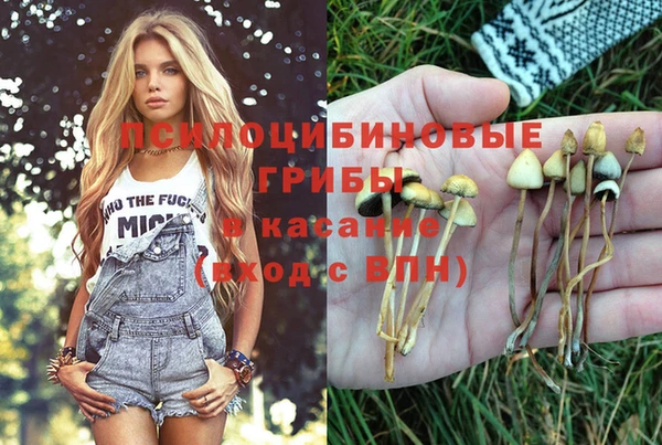 индика Кукмор