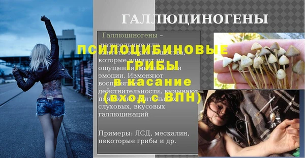 стафф Куйбышев
