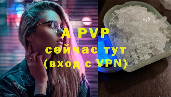 индика Кукмор