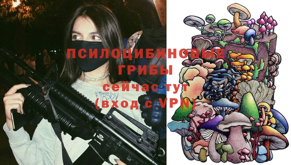 индика Кукмор