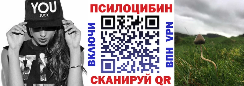 Галлюциногенные грибы Psilocybe  купить   Ханты-Мансийск 